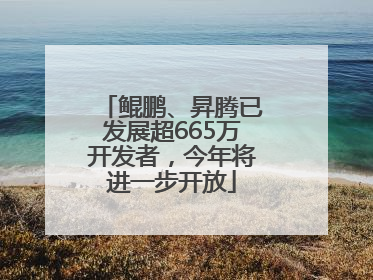 鲲鹏、昇腾已发展超665万开发者，今年将进一步开放