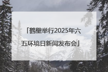 鹤壁举行2025年六五环境日新闻发布会