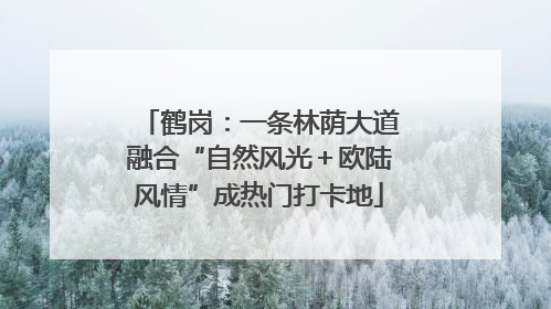 鹤岗：一条林荫大道融合“自然风光＋欧陆风情”成热门打卡地