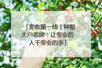 麦收第一线丨种粮大户老房：让专业的人干专业的事