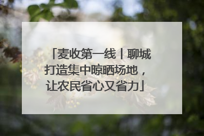 麦收第一线丨聊城打造集中晾晒场地，让农民省心又省力