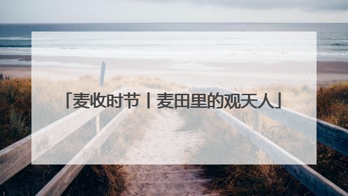麦收时节丨麦田里的观天人