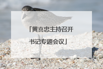 黄喜忠主持召开书记专题会议