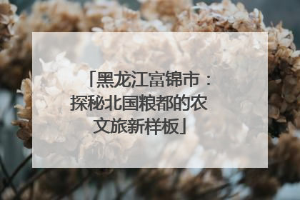 黑龙江富锦市：探秘北国粮都的农文旅新样板