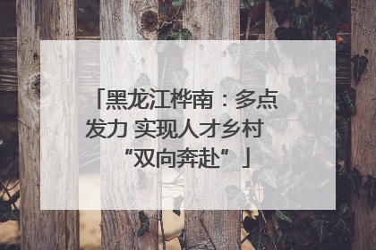 黑龙江桦南：多点发力 实现人才乡村“双向奔赴”