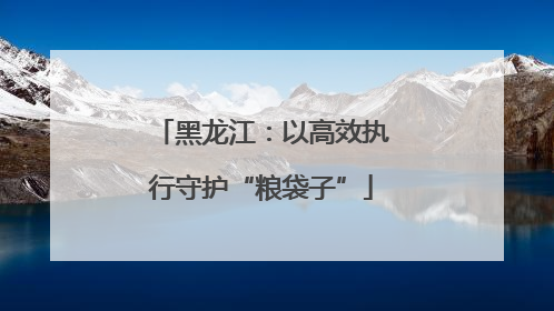 黑龙江：以高效执行守护“粮袋子”