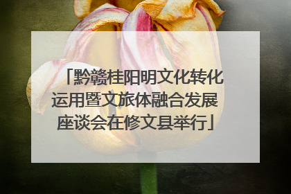 黔赣桂阳明文化转化运用暨文旅体融合发展座谈会在修文县举行