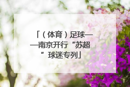 （体育）足球——南京开行“苏超”球迷专列