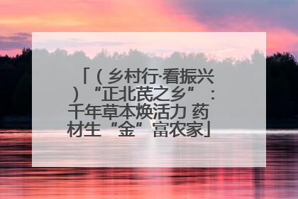 （乡村行·看振兴）“正北芪之乡”：千年草本焕活力 药材生“金”富农家