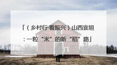（乡村行·看振兴）山西襄垣：一粒“米”的新“稻”路