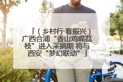 （乡村行·看振兴）广西合浦“香山鸡嘴荔枝”进入采摘期 将与西安“梦幻联动”