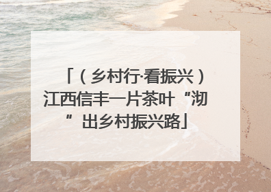 （乡村行·看振兴）江西信丰一片茶叶“沏”出乡村振兴路
