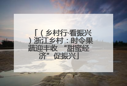 （乡村行·看振兴）浙江乡村：时令果蔬迎丰收 “甜蜜经济”促振兴