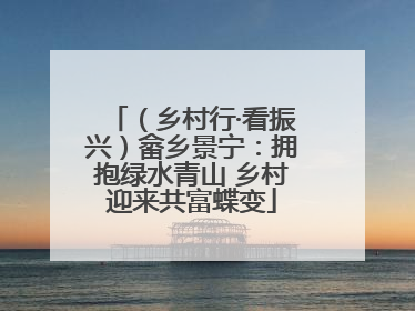 （乡村行·看振兴）畲乡景宁：拥抱绿水青山 乡村迎来共富蝶变