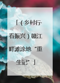 （乡村行·看振兴）赣江畔滩涂地“重生记”