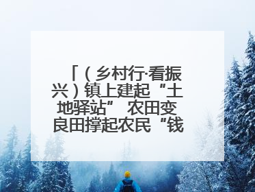 （乡村行·看振兴）镇上建起“土地驿站” 农田变良田撑起农民“钱袋子”