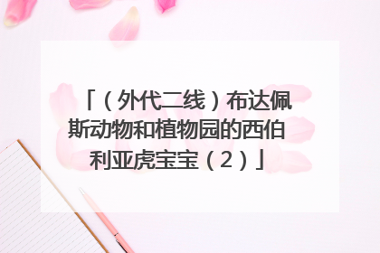 （外代二线）布达佩斯动物和植物园的西伯利亚虎宝宝（2）