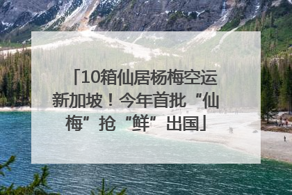 10箱仙居杨梅空运新加坡！今年首批“仙梅”抢“鲜”出国