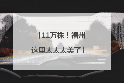 11万株！福州这里太太太美了