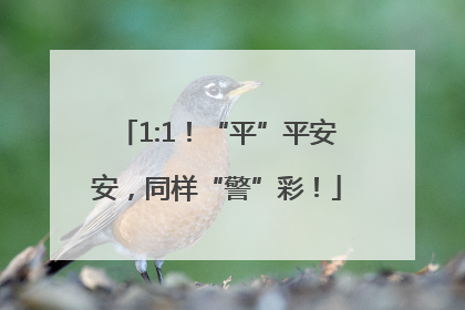1:1！“平”平安安，同样“警”彩！