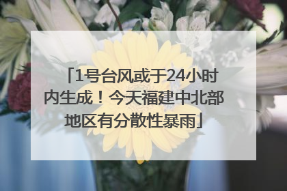 1号台风或于24小时内生成！今天福建中北部地区有分散性暴雨