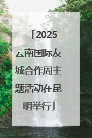 2025云南国际友城合作周主题活动在昆明举行