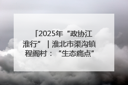 2025年“政协江淮行”｜淮北市渠沟镇程阁村：“生态痛点”变“生态景观”