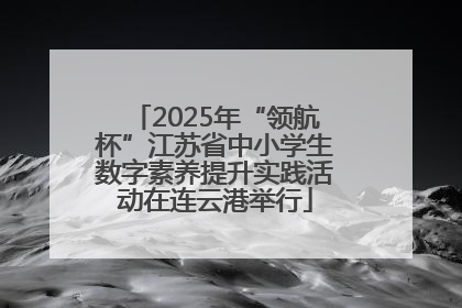 2025年“领航杯”江苏省中小学生数字素养提升实践活动在连云港举行