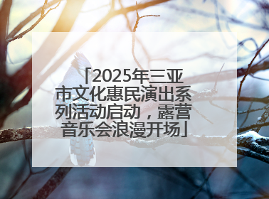 2025年三亚市文化惠民演出系列活动启动，露营音乐会浪漫开场