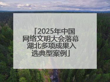 2025年中国网络文明大会落幕 湖北多项成果入选典型案例