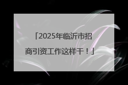 2025年临沂市招商引资工作这样干！