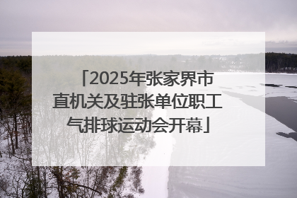 2025年张家界市直机关及驻张单位职工气排球运动会开幕