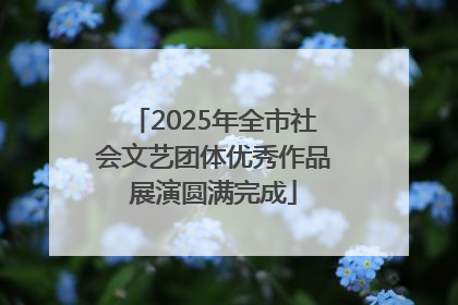 2025年全市社会文艺团体优秀作品展演圆满完成
