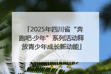 2025年四川省“奔跑吧·少年”系列活动释放青少年成长新动能
