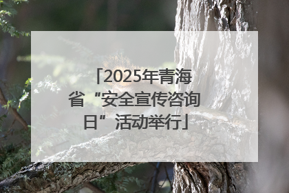 2025年青海省“安全宣传咨询日”活动举行