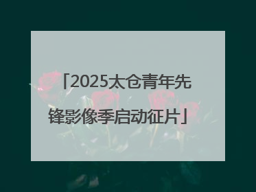 2025太仓青年先锋影像季启动征片