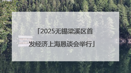 2025无锡梁溪区首发经济上海恳谈会举行