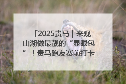 2025贵马｜来观山湖做最靓的“显眼包”！贵马跑友赛前打卡点燃奔跑热情