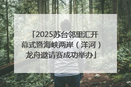 2025苏台邻里汇开幕式暨海峡两岸（洋河）龙舟邀请赛成功举办