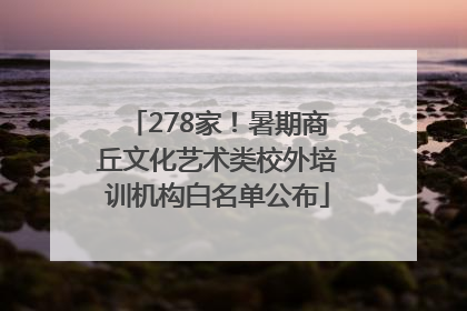 278家！暑期商丘文化艺术类校外培训机构白名单公布