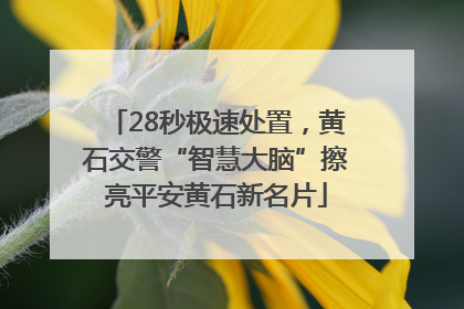 28秒极速处置，黄石交警“智慧大脑”擦亮平安黄石新名片