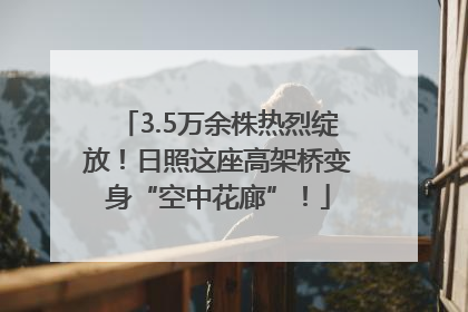 3.5万余株热烈绽放！日照这座高架桥变身“空中花廊”！