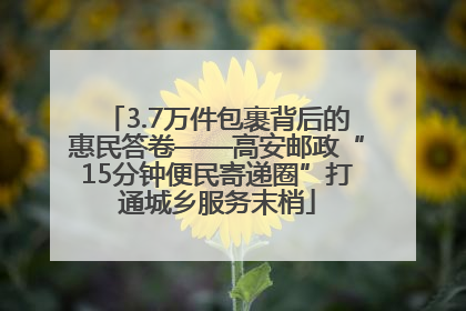 3.7万件包裹背后的惠民答卷——高安邮政“15分钟便民寄递圈”打通城乡服务末梢