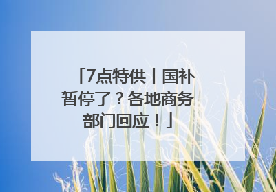 7点特供丨国补暂停了？各地商务部门回应！