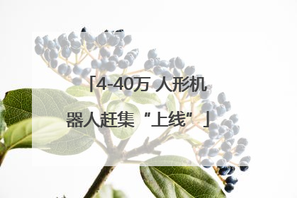 4-40万 人形机器人赶集“上线”