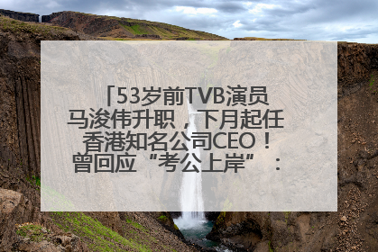 53岁前TVB演员马浚伟升职，下月起任香港知名公司CEO！曾回应“考公上岸”：真不是公务员
