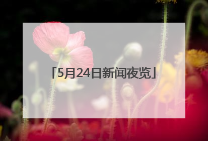5月24日新闻夜览