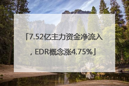 7.52亿主力资金净流入，EDR概念涨4.75%