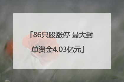 86只股涨停 最大封单资金4.03亿元