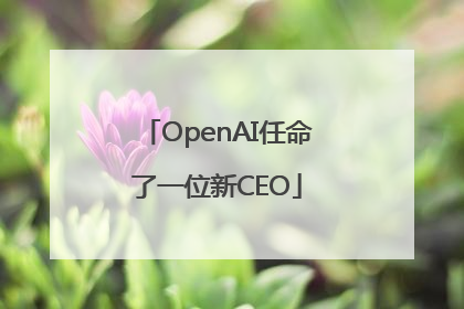 OpenAI任命了一位新CEO